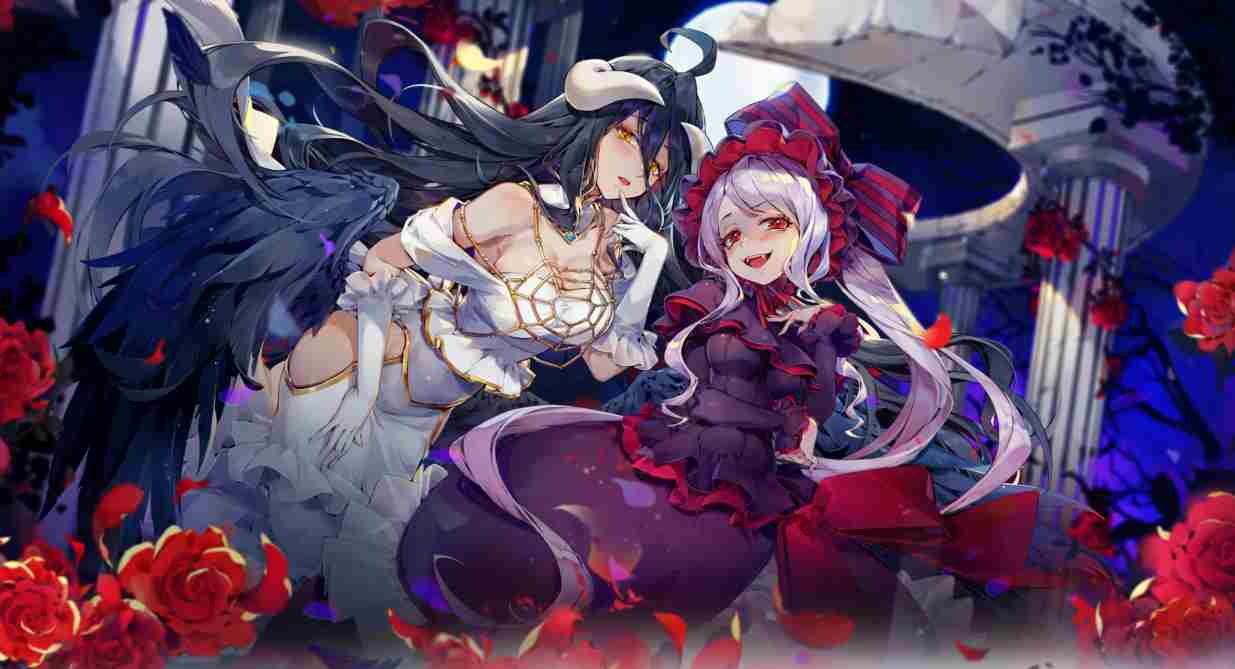 《纳萨力克之王》25级邀请码是什么