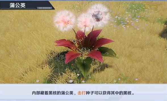《幻塔》大世界黑核机关解密攻略