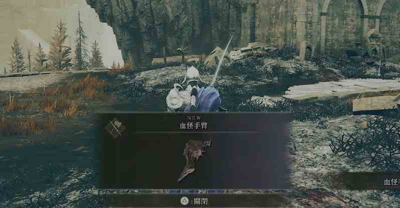 艾尔登法环黄金树之影DLC武器推荐图7