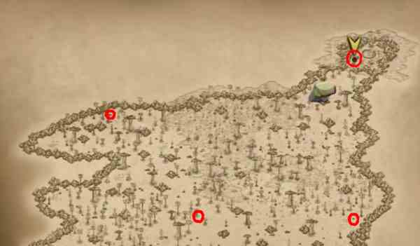 挨饿荒野攻略大全 挨饿荒野攻略汇总图3