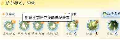 射雕桃花治疗技能搭配攻略图7