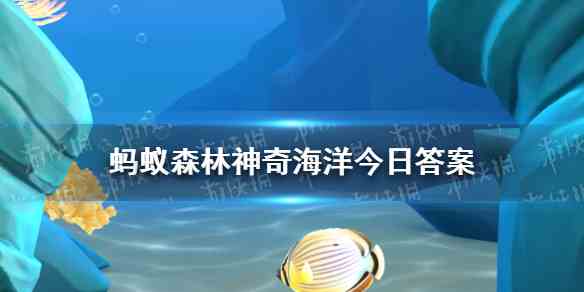 生活在海中的柳叶鳗是鳗鱼的幼年期还是老年期 神奇海洋4.1答案图1
