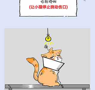 这猫脑洞贼大第10关怎么过图1