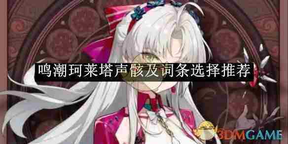 《鸣潮》珂莱塔声骸及词条选择推荐