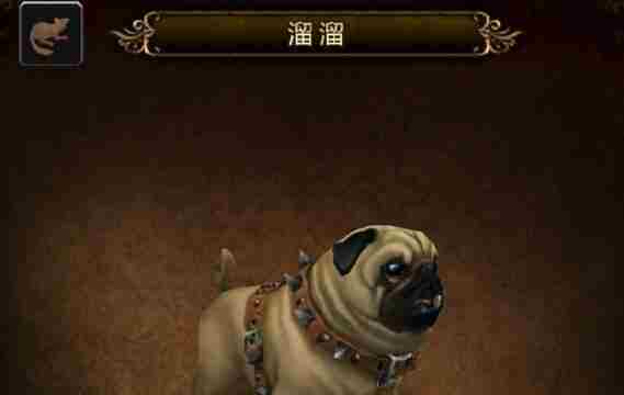 魔兽世界溜溜宠物狗怎么获得 溜溜获取方法详解