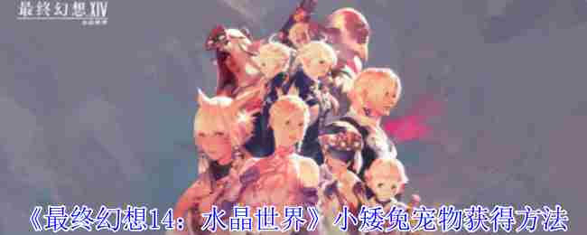 FF14水晶世界小矮兔宠物捕捉方法