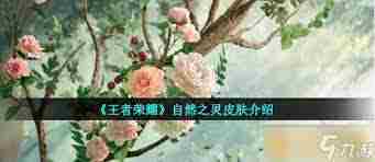 王者荣耀自然之灵皮肤深度介绍与推荐方法
