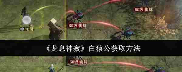 龙息神寂白猿公捕捉方法