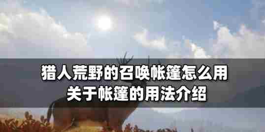 猎人荒野召唤帐篷操作方法与技巧推荐