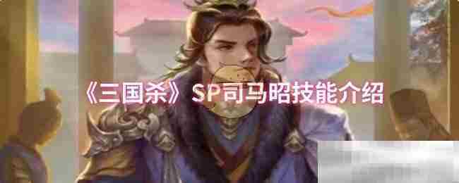 SP司马昭技能攻略三国杀