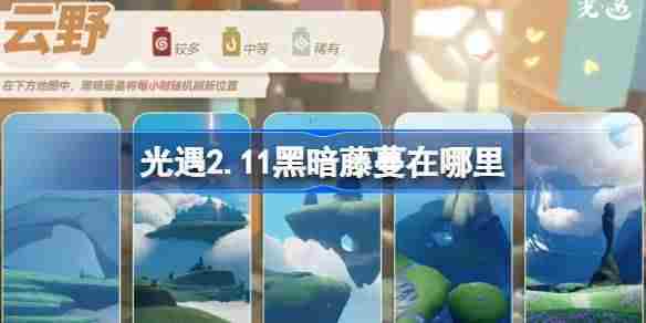 光遇2.11黑暗藤蔓位置与染料获取攻略