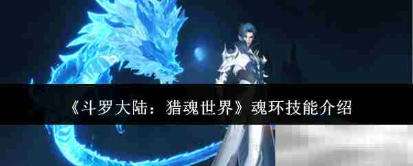 斗罗大陆猎魂世界高效魂环技能盘点方法