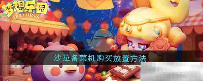 梦想乐园沙拉备菜机选购与摆放攻略