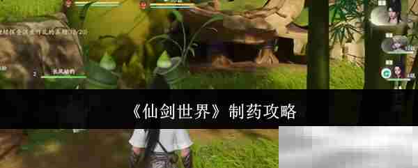 仙剑世界制药技巧介绍