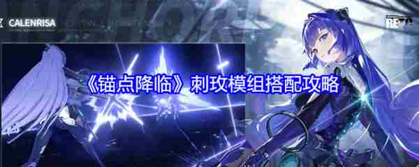 锚点降临刺玫模组搭配攻略