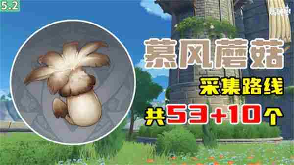 原神慕风蘑菇全采集点路线方法63处位置详述