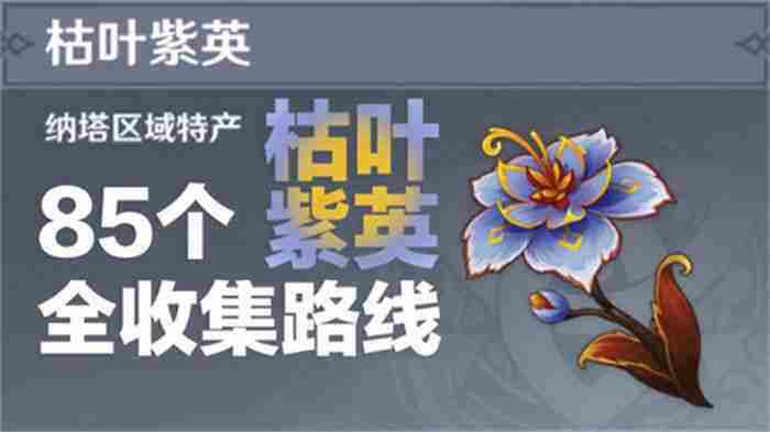 原神85个枯叶紫英全地图位置一览
