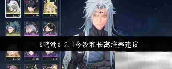 鸣潮2.1版本今汐长离角色培养攻略