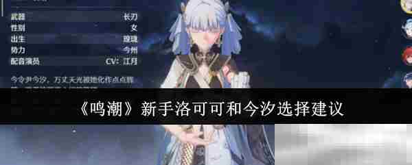 鸣潮新手角色洛可可与今汐选择方法