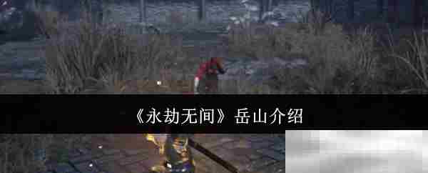 永劫无间岳山角色攻略推荐