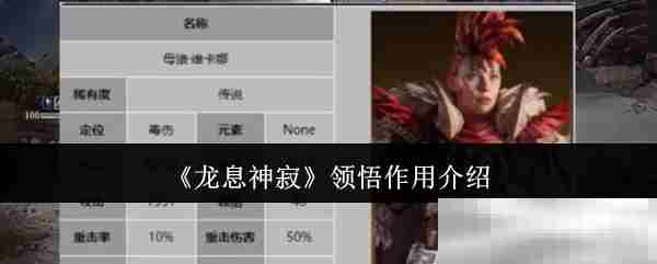 龙息神寂领悟功能最优选择方法