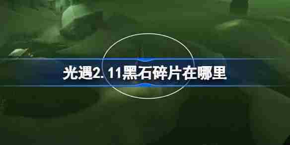 光遇2月11日黑石碎片位置方法