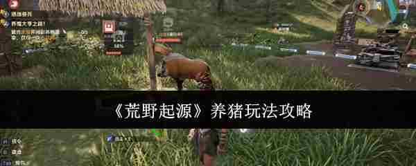 荒野起源养猪技巧介绍