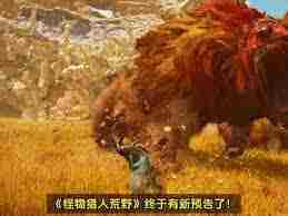 怪物猎人荒野PS5与PC跨平台联机玩法方法