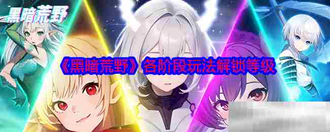 黑暗荒野玩法解锁等级一览