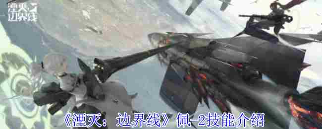 湮灭边界线佩2技能搭配方法