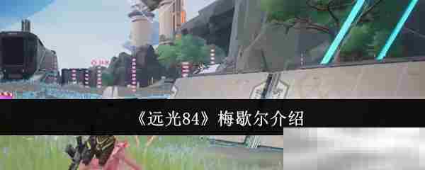 远光84梅歇尔角色攻略方法