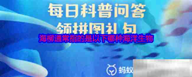 海柳海洋生物识别方法