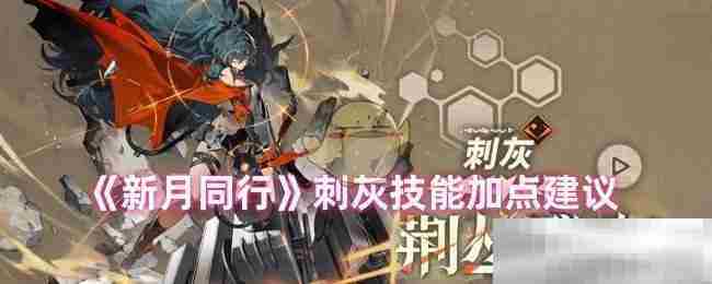新月同行刺灰技能加点最优方案
