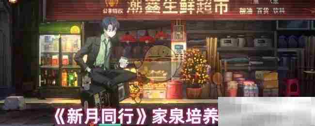 新月同行家泉角色培养攻略