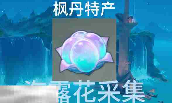 原神海露花位置一览采集方法