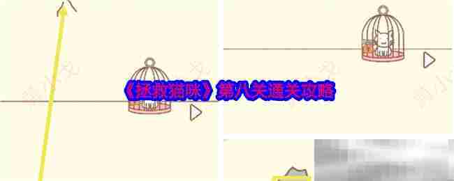 拯救猫咪第八关攻略速览 一步轻松通关方法