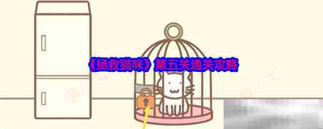 拯救猫咪第五关攻略速览 一步轻松通关