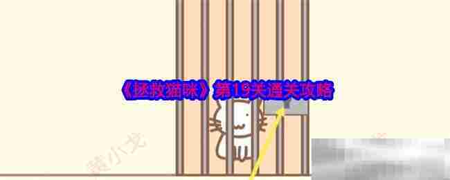 拯救猫咪第19关攻略技巧速览
