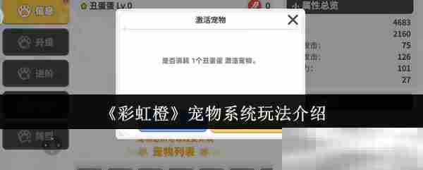 彩虹橙宠物系统全攻略推荐玩法