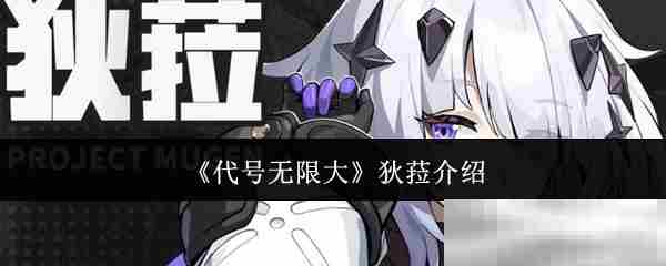 代号无限大狄菈角色攻略方法