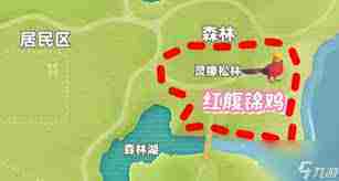 心动小镇新春季第三周四只鸟位置介绍