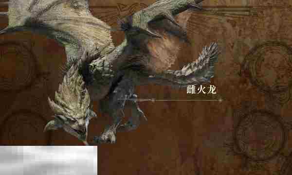 高效狩猎荒野雌火龙打法与掉落材料攻略
