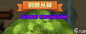 武龙争道荆棘丛林通关攻略