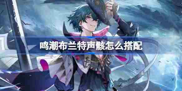 鸣潮布兰特声骸搭配方法及角色介绍