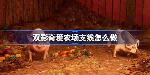 双影奇境农场支线任务攻略与流程介绍