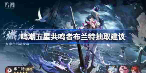 鸣潮五星角色布兰特抽取方法与评估