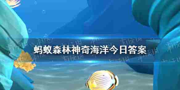 海螺耳边听海声神奇海洋3月10日答案揭晓