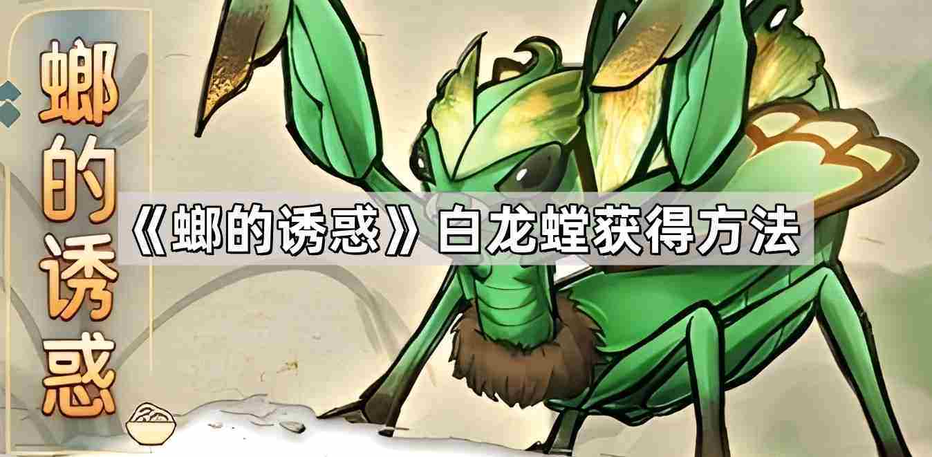 白龙螳螂捕捉方法获得攻略