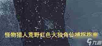 怪物猎人荒野虹色大独角仙捕获地点与技巧方法