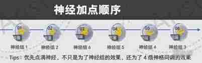 尘白禁区恩雅澜风神经属性点分配攻略